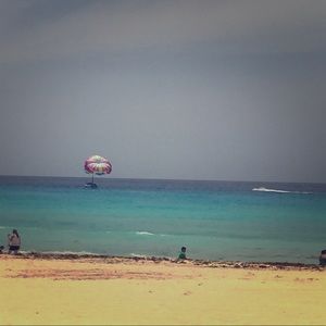 Meet your Posher, Janeth